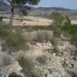 Descubren importante yacimiento romano en El Puntal, Murcia